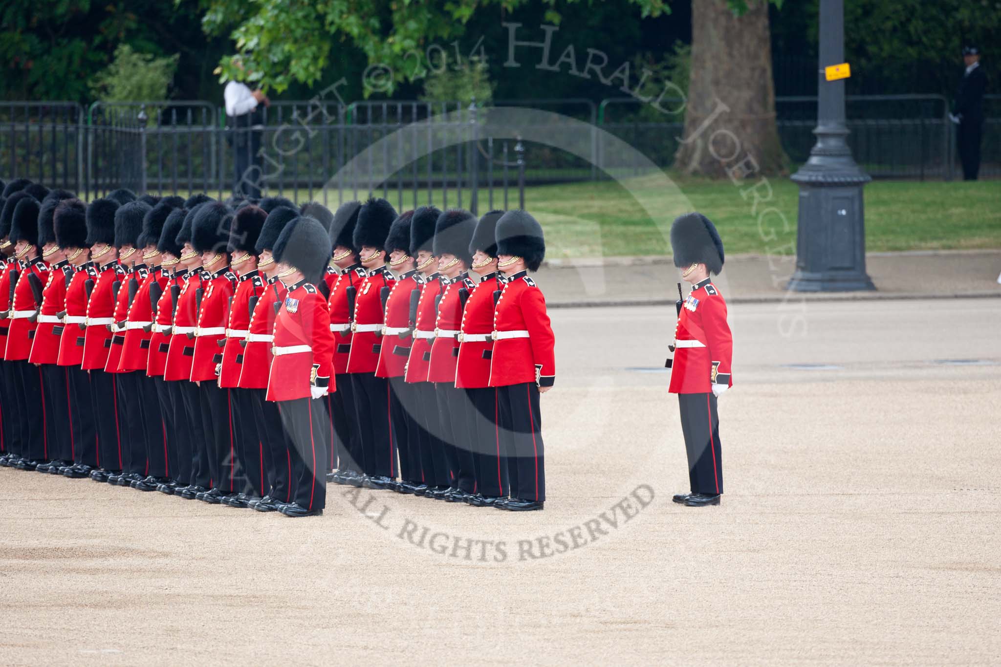 Trooping the Colour 2009: No. 5 Guard, Nijmegen Company Grenadier Guards, getting into position on Horse Guards Parade..
Horse Guards Parade, Westminster,
London SW1,

United Kingdom,
on 13 June 2009 at 10:33, image #64