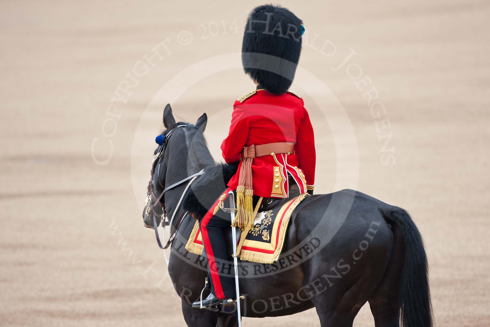 Trooping the Colour 2009: The Adjutant of the Parade, Captain J R H L Bullock-Webster, Irish Guards..
Horse Guards Parade, Westminster,
London SW1,

United Kingdom,
on 13 June 2009 at 10:34, image #66