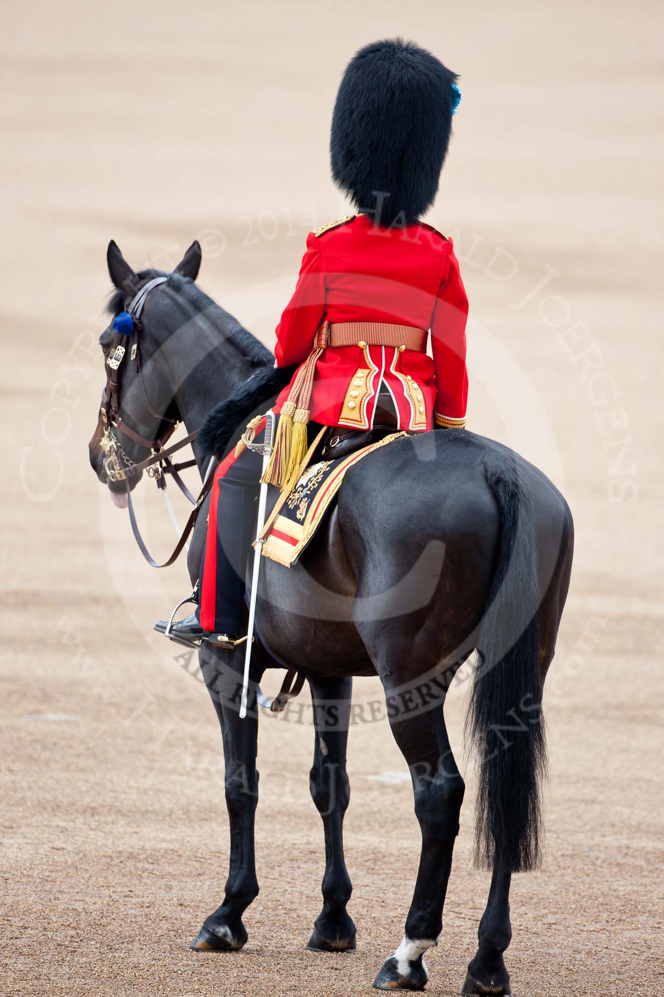 Trooping the Colour 2009: The Adjutant of the Parade, Captain J R H L Bullock-Webster, Irish Guards..
Horse Guards Parade, Westminster,
London SW1,

United Kingdom,
on 13 June 2009 at 10:34, image #67