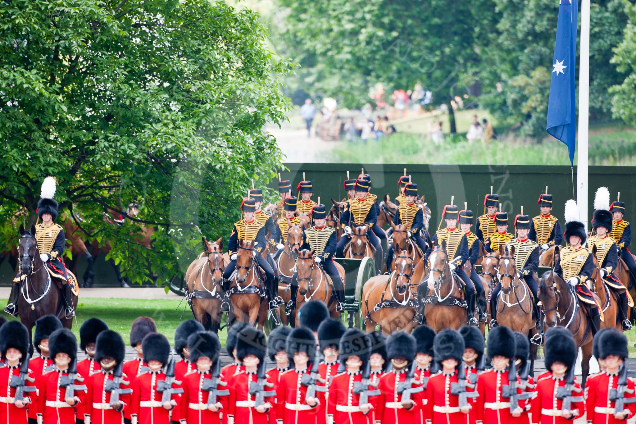 Trooping the Colour 2009: The King's Troop, Royal Horse Artillery, behind No. 1 Guard, the Escort for the Colour..
Horse Guards Parade, Westminster,
London SW1,

United Kingdom,
on 13 June 2009 at 10:37, image #71