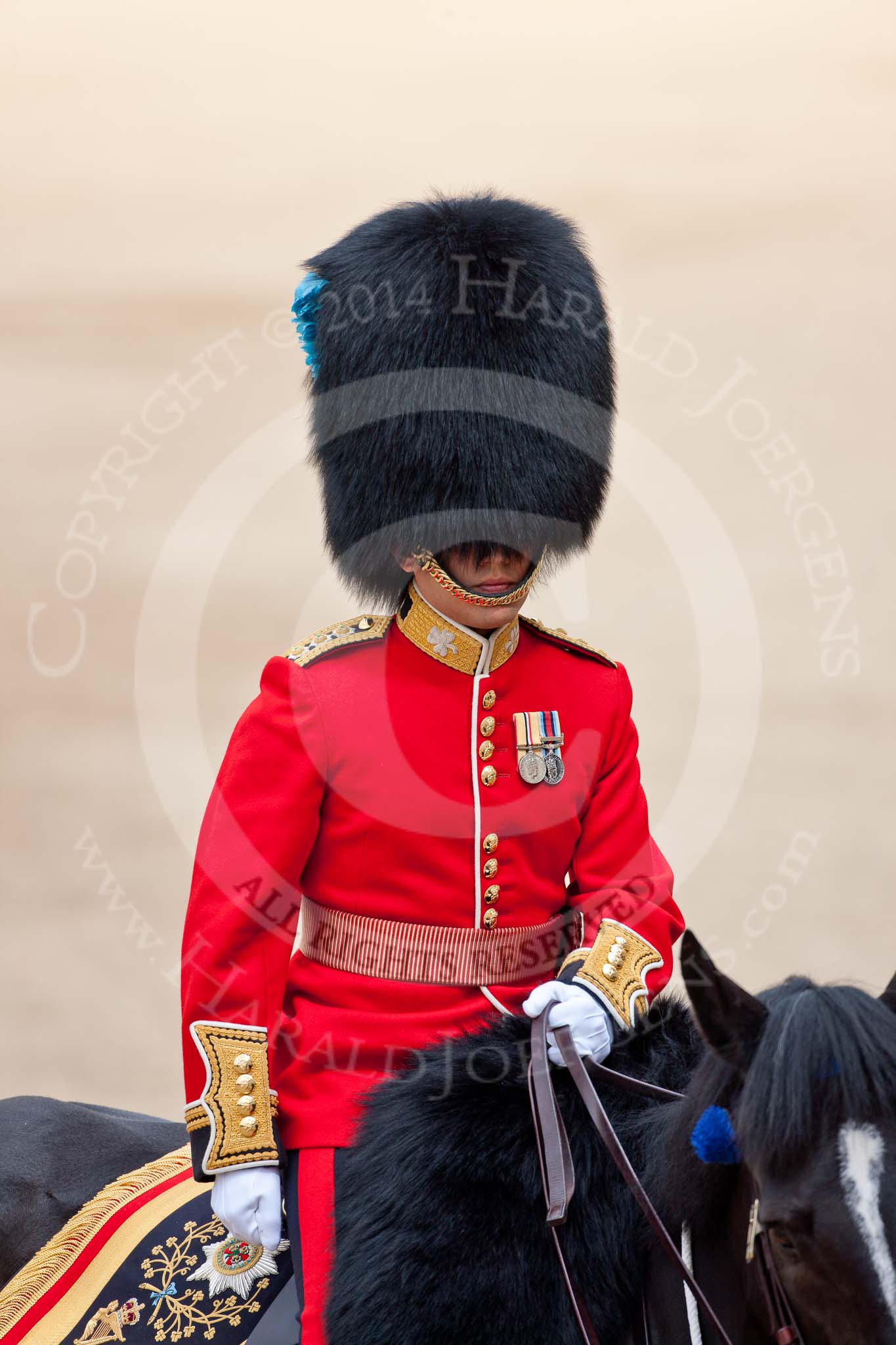 Trooping the Colour 2009: The Adjutant of the Parade, Captain J R H L Bullock-Webster, Irish Guards..
Horse Guards Parade, Westminster,
London SW1,

United Kingdom,
on 13 June 2009 at 10:39, image #73