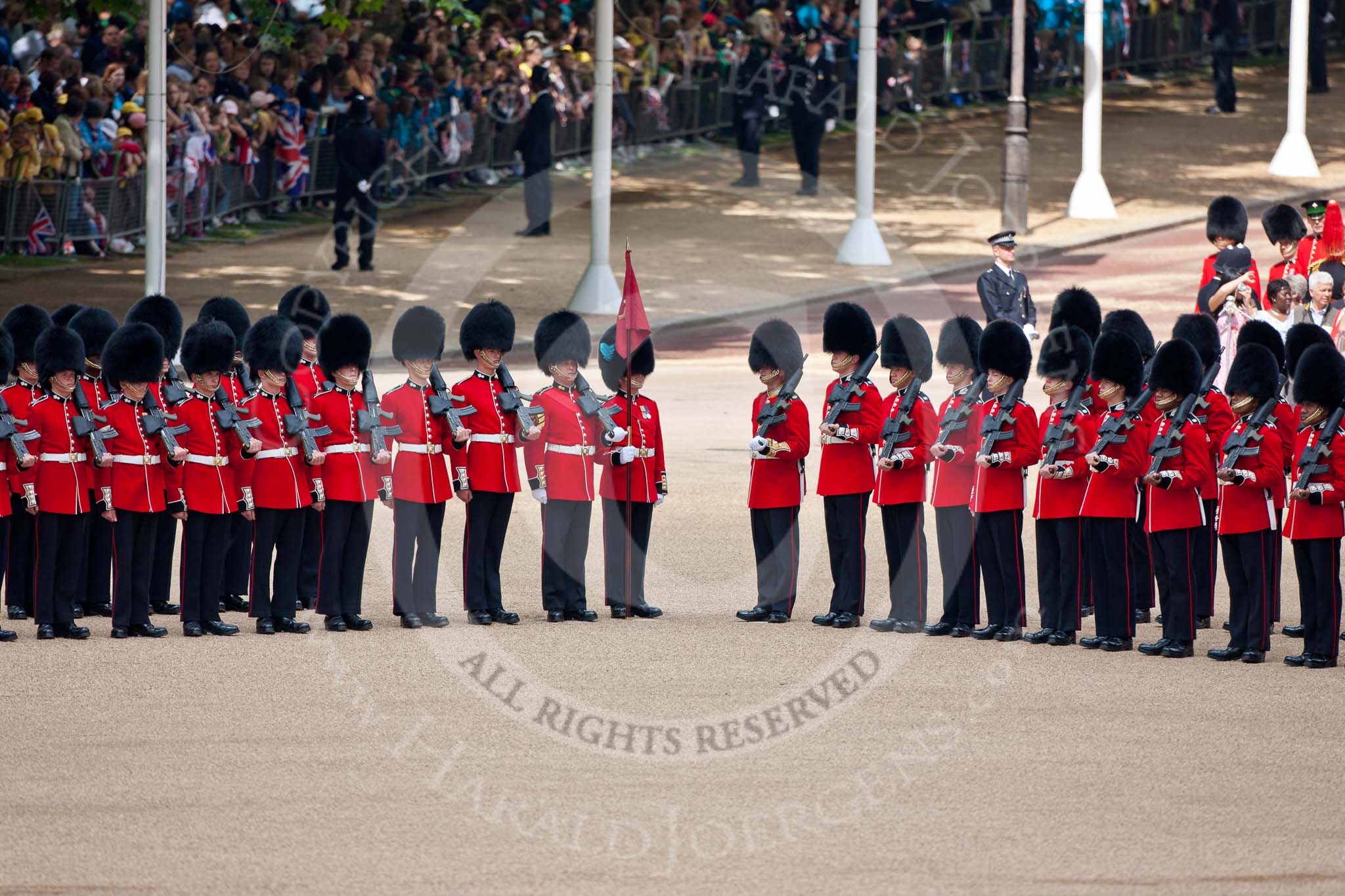 Trooping the Colour 2009: No. 5 Guard, Nijmegen Company Grenadier Guards, on the left, and No. 6 Guard, F Company Scots Guards, on the right..
Horse Guards Parade, Westminster,
London SW1,

United Kingdom,
on 13 June 2009 at 10:39, image #74