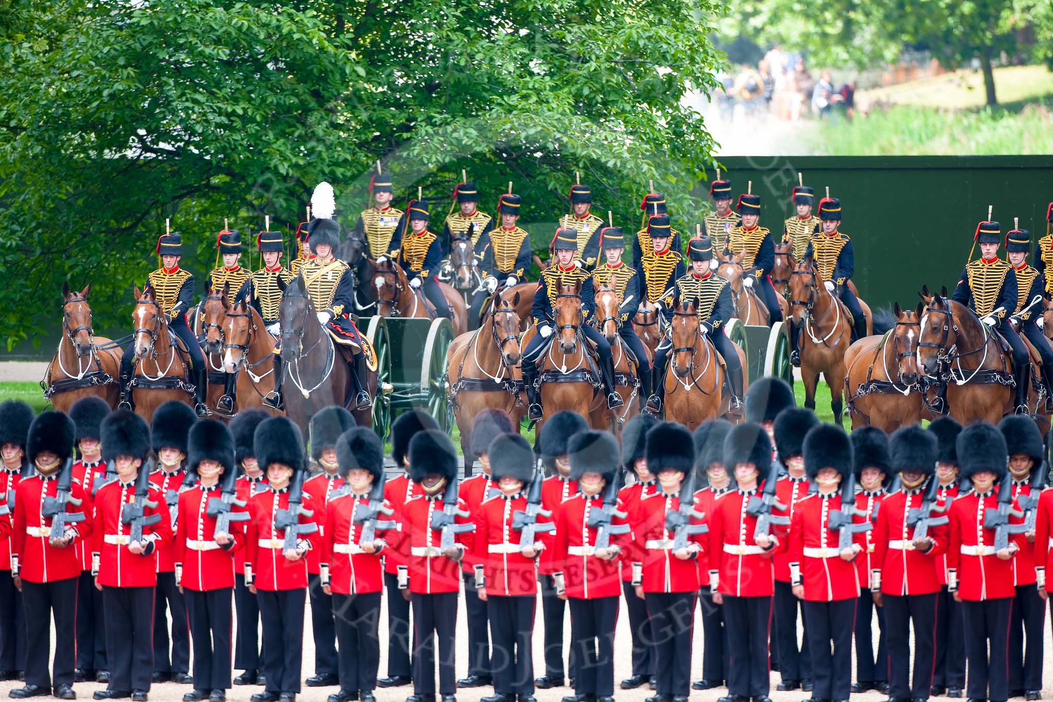 Trooping the Colour 2009: The King's Troop, Royal Horse Artillery, behind No. 1 Guard, the Escort for the Colour..
Horse Guards Parade, Westminster,
London SW1,

United Kingdom,
on 13 June 2009 at 10:39, image #75