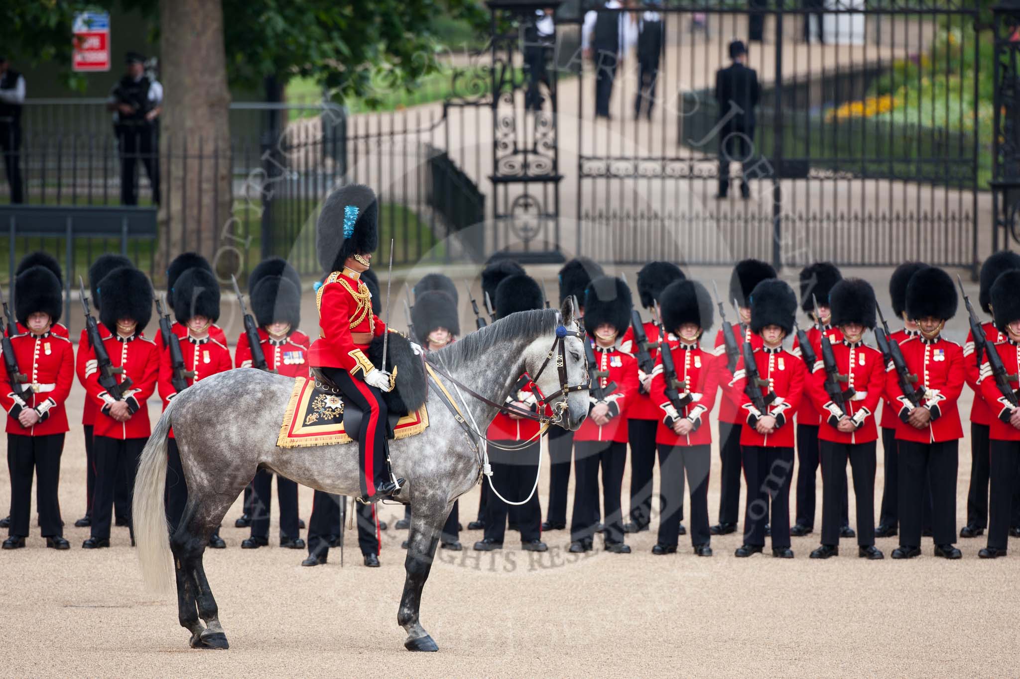 Trooping the Colour 2009: The Field Officer in Brigade Waiting, Lieutenant Colonel B C Farrell, Irish Guards, on 'Wellesley'., in front of No. 4 Guard. In the background the gate of St. James's Park..
Horse Guards Parade, Westminster,
London SW1,

United Kingdom,
on 13 June 2009 at 10:45, image #87