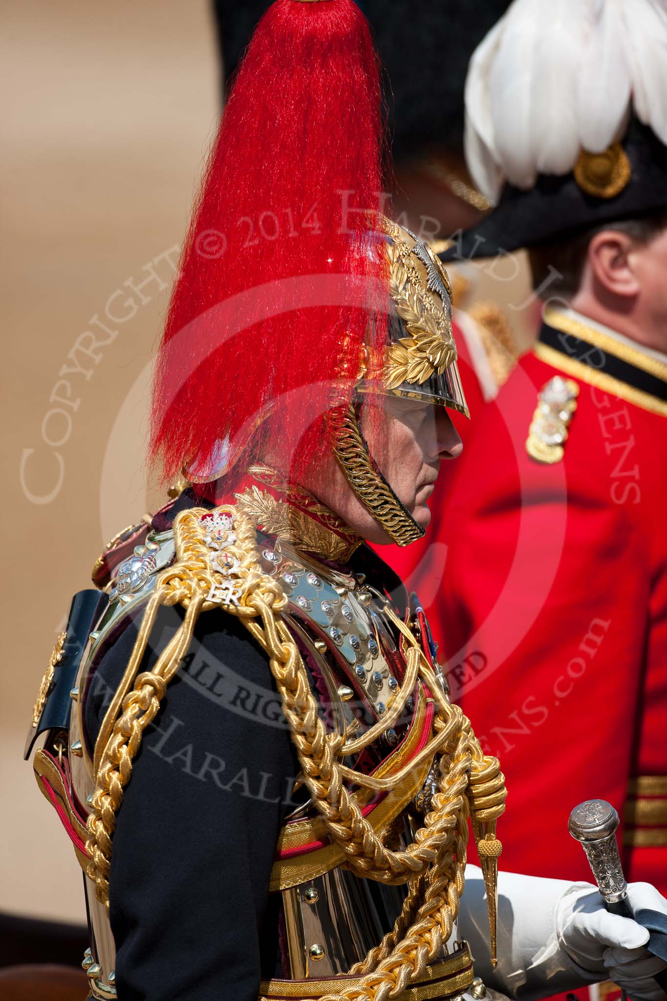 Trooping the Colour 2009: Close-up of the Silver Stick in Waiting, Colonel T W Browne, The Blues and Royals, during the Inspection of the Line..
Horse Guards Parade, Westminster,
London SW1,

United Kingdom,
on 13 June 2009 at 11:07, image #159