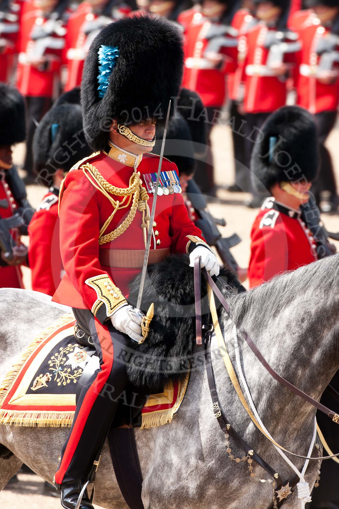 Trooping the Colour 2009: The Field Officer, Lieutenant Colonel Ben Farrell, Irish Guards, riding 'Wellesley'..
Horse Guards Parade, Westminster,
London SW1,

United Kingdom,
on 13 June 2009 at 11:35, image #206