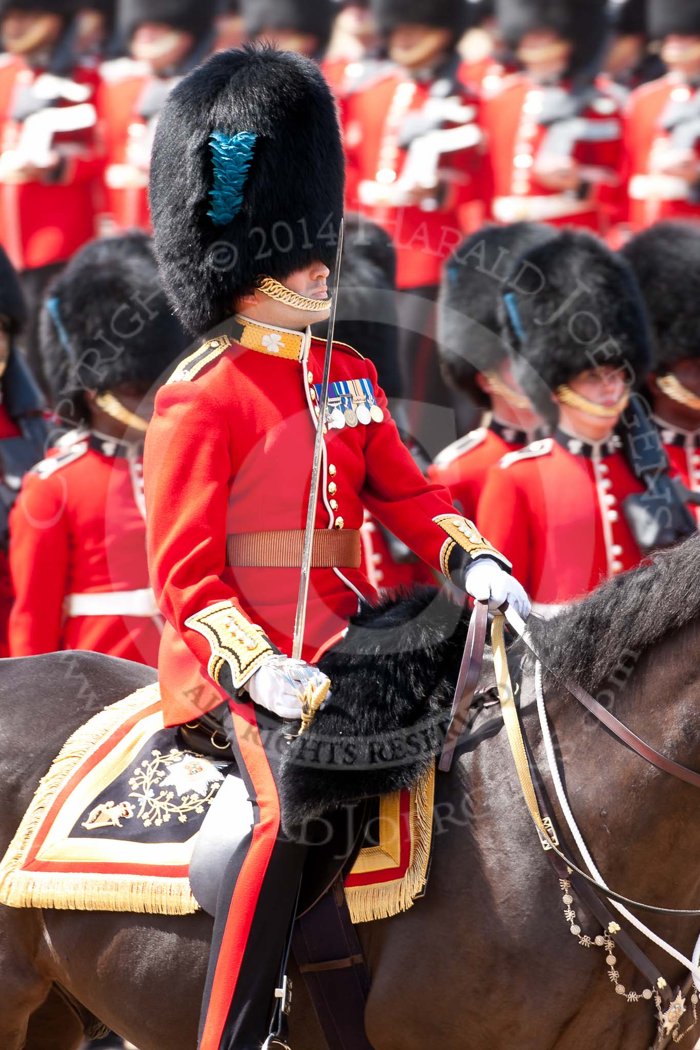 Trooping the Colour 2009: The Major of the Parade, Major F A D L Roberts, Irish Guards..
Horse Guards Parade, Westminster,
London SW1,

United Kingdom,
on 13 June 2009 at 11:35, image #207