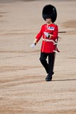 Trooping the Colour 2009: WO1 (GSM) W D G 'Billy' Mott OBE, Welsh Guards, inspecting the parade ground..
Horse Guards Parade, Westminster,
London SW1,

United Kingdom,
on 13 June 2009 at 10:14, image #28