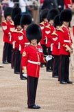 Trooping the Colour 2009: WO1 (GSM) W D G 'Billy' Mott OBE, Welsh Guards, inspecting the parade ground..
Horse Guards Parade, Westminster,
London SW1,

United Kingdom,
on 13 June 2009 at 10:16, image #29