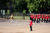 Trooping the Colour 2009: Drum Major M Godsman, Scots Guards, leading the Band of the Scots Guards along St. James's Park towards the parade ground..
Horse Guards Parade, Westminster,
London SW1,

United Kingdom,
on 13 June 2009 at 10:24, image #41