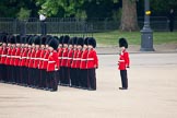 Trooping the Colour 2009: No. 5 Guard, Nijmegen Company Grenadier Guards, getting into position on Horse Guards Parade..
Horse Guards Parade, Westminster,
London SW1,

United Kingdom,
on 13 June 2009 at 10:33, image #64