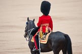 Trooping the Colour 2009: The Adjutant of the Parade, Captain J R H L Bullock-Webster, Irish Guards..
Horse Guards Parade, Westminster,
London SW1,

United Kingdom,
on 13 June 2009 at 10:34, image #66