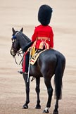 Trooping the Colour 2009: The Adjutant of the Parade, Captain J R H L Bullock-Webster, Irish Guards..
Horse Guards Parade, Westminster,
London SW1,

United Kingdom,
on 13 June 2009 at 10:34, image #67