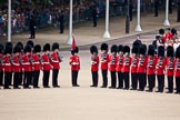 Trooping the Colour 2009: No. 5 Guard, Nijmegen Company Grenadier Guards, on the left, and No. 6 Guard, F Company Scots Guards, on the right..
Horse Guards Parade, Westminster,
London SW1,

United Kingdom,
on 13 June 2009 at 10:36, image #68