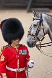 Trooping the Colour 2009: WO1 (GSM) W D G 'Billy' Mott OBE, Welsh Guards, behind him Wellesley, the horse ridden by the Field Officer..
Horse Guards Parade, Westminster,
London SW1,

United Kingdom,
on 13 June 2009 at 10:37, image #70