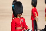 Trooping the Colour 2009: The Adjutant of the Parade, Captain J R H L Bullock-Webster, Irish Guards..
Horse Guards Parade, Westminster,
London SW1,

United Kingdom,
on 13 June 2009 at 10:38, image #72