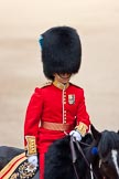 Trooping the Colour 2009: The Adjutant of the Parade, Captain J R H L Bullock-Webster, Irish Guards..
Horse Guards Parade, Westminster,
London SW1,

United Kingdom,
on 13 June 2009 at 10:39, image #73