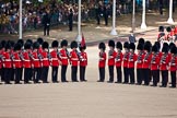 Trooping the Colour 2009: No. 5 Guard, Nijmegen Company Grenadier Guards, on the left, and No. 6 Guard, F Company Scots Guards, on the right..
Horse Guards Parade, Westminster,
London SW1,

United Kingdom,
on 13 June 2009 at 10:39, image #74