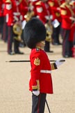 Trooping the Colour 2010: W D G 'Billy' Mott, OBE, is Warrant Officer Class 1 (WO1) of the Welsh Guards of the British Army, and Garrison Sergeant Major (GSM) of Headquarters London District.



He joined the 1st Battalion Welsh Guards in April 1979, and has served with the Battalion in Belize, Canada, Cyprus, France, Germany, Kenya, and the USA. 
He completed operational tours of Northern Ireland and served in the Falklands during the 1982 conflict.

GSM Mott has been a military instructor at the Welsh Guards depot as a Lance Sergeant, and at Sandhurst, the Royal Military Academy, where he was a Colour Sergeant, Company Sergeant Major, and Regimental Sergeant Major.



He was appointed GSM at Headquarters Northern Ireland before his present appointment as GSM Headquarters London District.

He has been a GSM at 'Trooping the Colour' since 2003. He was awarded an OBE (Order of the British Empire) by the Queen in 2007..
Horse Guards Parade, Westminster,
London SW1,
Greater London,
United Kingdom,
on 12 June 2010 at 10:21, image #7