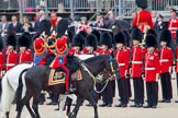 Trooping the Colour 2010: The Royal Colonels inspecting the line, here No. 6 Guard, No. 7 Company Coldstream Guards.

In Front Charles, The Prince of Wales, then Prince Edward, The Duke of Kent, behind him Anne, The Princess Royal.

In the background spectators on the Inner Line of Sentries and on a stand above in front of the Old Admiralty Building on the eastern side of Horse Guards Parade..
Horse Guards Parade, Westminster,
London SW1,
Greater London,
United Kingdom,
on 12 June 2010 at 11:04, image #83