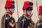 Trooping the Colour 2010: HJoergens41_100612_G6C7600.CR2.
Horse Guards Parade, Westminster,
London SW1,
Greater London,
United Kingdom,
on 12 June 2010 at 11:56, image #172