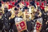 Trooping the Colour 2010: HJoergens41_100612_G6C7631.CR2.
Horse Guards Parade, Westminster,
London SW1,
Greater London,
United Kingdom,
on 12 June 2010 at 11:58, image #178