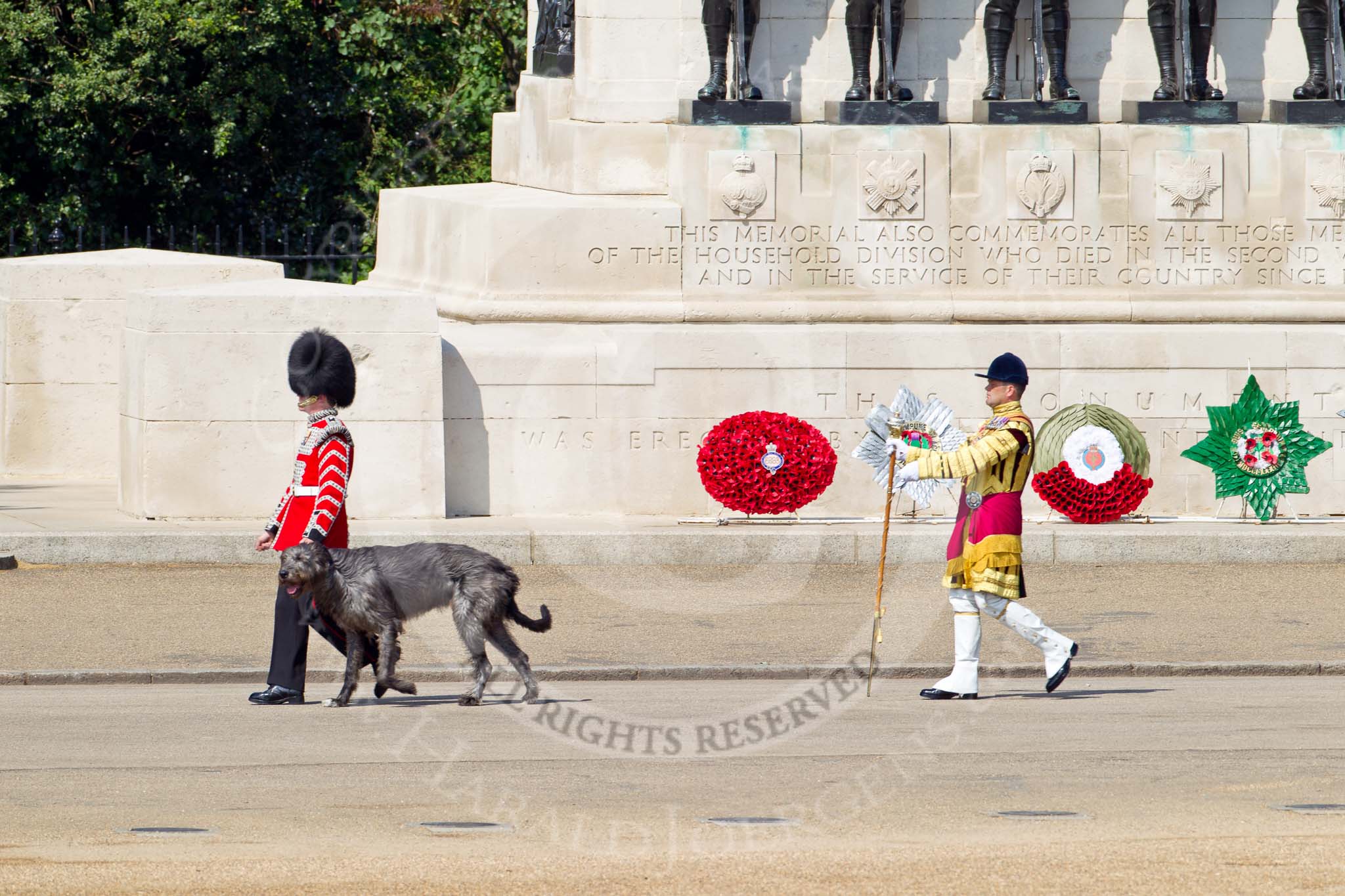 The Colonel's Review 2011: Conmael, an Irish Wolfhound, the Mascot of the Irish Guards, with his handler, a Drummer from the Irish Guards. 
Behind, the first of the five Drum Majors on parade, Senior Drum Major Ben Roberts, Coldstream Guards, leading the Band of the Welsh Guards.
Behind them the Guards Memorial on the St. James's Park side of Horse Guards Parade..
Horse Guards Parade, Westminster,
London SW1,

United Kingdom,
on 04 June 2011 at 10:11, image #7