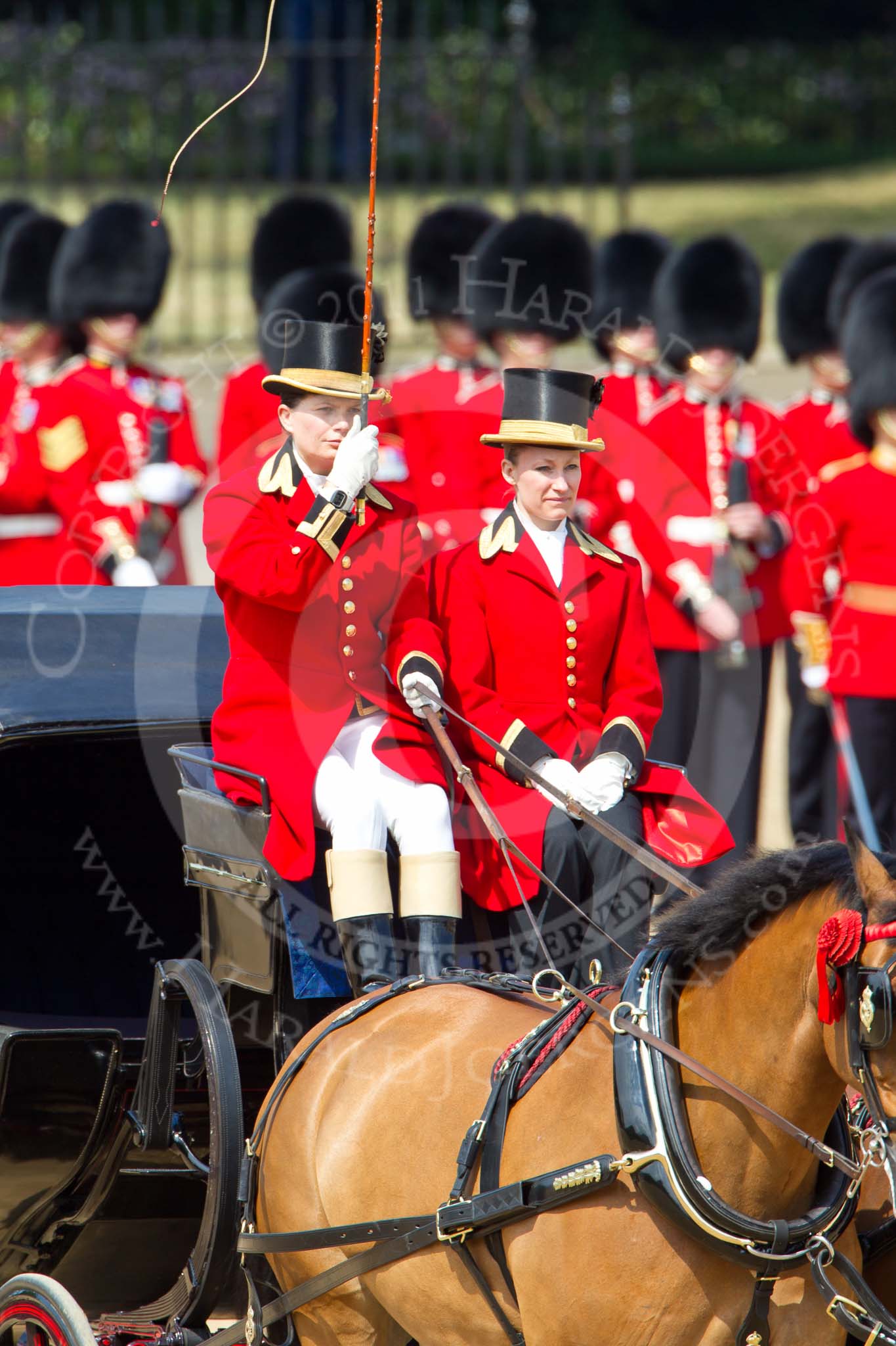 The Colonel's Review 2011: The second carriage passing the Colour on Horse Guards Parade, both coachman saluting the Colour..
Horse Guards Parade, Westminster,
London SW1,

United Kingdom,
on 04 June 2011 at 10:50, image #66