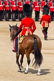 The Colonel's Review 2011: The Field Officer in Brigade Waiting, Lieutenant Colonel Lincoln P M Jopp, Scots Guards, riding out onto the parade ground..
Horse Guards Parade, Westminster,
London SW1,

United Kingdom,
on 04 June 2011 at 10:41, image #56