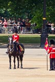 The Colonel's Review 2011: The Major of the Parade, Major Benedict Peter Norman Ramsay, Welsh Guards, in position next to No. 1 Guard, The Escort for the Colour. Behind, spectators watching from St. James's Park..
Horse Guards Parade, Westminster,
London SW1,

United Kingdom,
on 04 June 2011 at 10:42, image #58