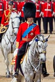 The Colonel's Review 2011: Close-up of HRH Prince William, The Duke of Cambridge, during the Inspection of the Line..
Horse Guards Parade, Westminster,
London SW1,

United Kingdom,
on 04 June 2011 at 11:06, image #99