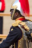 The Colonel's Review 2011: Close-up of Major Twumasi-Ankrah, Blues and Royals, standing in for the Princess Royal..
Horse Guards Parade, Westminster,
London SW1,

United Kingdom,
on 04 June 2011 at 11:07, image #107