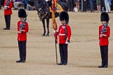 The Colonel's Review 2011: Colour Sergeant Chris Millin, standing between the two sentries, holding the Colour, shortly before handing it over to the Escort for the Colour..
Horse Guards Parade, Westminster,
London SW1,

United Kingdom,
on 04 June 2011 at 11:18, image #127