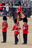 The Colonel's Review 2011: The Regimental Sergeant Major, A I Mackenzie, has taken the Colour from Colour Sergeant Chris Millin, and is about to give it to the Ensign..
Horse Guards Parade, Westminster,
London SW1,

United Kingdom,
on 04 June 2011 at 11:19, image #131