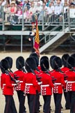 The Colonel's Review 2011: The Trooping of the Colour through the lines begins, and the Escort for the Colour has become the Escort TO the Colour..
Horse Guards Parade, Westminster,
London SW1,

United Kingdom,
on 04 June 2011 at 11:22, image #138