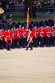 The Colonel's Review 2011: The Esnsign, Tom Ogilvy, is marching in front of the line of guards (here No.5 Guard, 1st Battalion Welsh Guards, whilst the other guardsmen of the Escort are marching between the two lines of guards..
Horse Guards Parade, Westminster,
London SW1,

United Kingdom,
on 04 June 2011 at 11:24, image #142