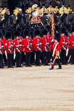 The Colonel's Review 2011: The Esnsign, Tom Ogilvy, is marching in front of the line of guards (here No. 4 Guard, Nijmegen Company Grenadier Guards, whilst the other guardsmen of the Escort are marching between the two lines of guards. In the background the Mounted Bands of the Household Cavalry..
Horse Guards Parade, Westminster,
London SW1,

United Kingdom,
on 04 June 2011 at 11:24, image #144