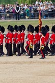 The Colonel's Review 2011: The Escort has passed No. 6 to No. 2 Guard. In front of the Ensign, Lieutenant Ton Ogilvy, Captain D L Krause-Harder-Calthorpe, commanding the Escort..
Horse Guards Parade, Westminster,
London SW1,

United Kingdom,
on 04 June 2011 at 11:26, image #148