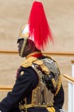 The Colonel's Review 2011: Close-up of Major Twumasi-Ankrah, Blues and Royals, riding in place of the Princess Royal..
Horse Guards Parade, Westminster,
London SW1,

United Kingdom,
on 04 June 2011 at 11:31, image #156