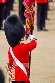 The Colonel's Review 2011: Close-up of the Ensign, Lieutenant Tom Ogilvy..
Horse Guards Parade, Westminster,
London SW1,

United Kingdom,
on 04 June 2011 at 11:35, image #171