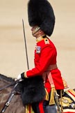 The Colonel's Review 2011: Close-up of the Field Office in Brigade Waiting, Lieutenant Colonel Lincoln P M Jopp, Scots Guards..
Horse Guards Parade, Westminster,
London SW1,

United Kingdom,
on 04 June 2011 at 11:39, image #187