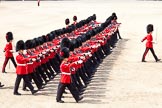 The Colonel's Review 2011: No. 6 Guard, No. 7 Company Coldstream Guards, during the March Past by the Foot Guards in quick time..
Horse Guards Parade, Westminster,
London SW1,

United Kingdom,
on 04 June 2011 at 11:46, image #212