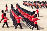 The Colonel's Review 2011: No. 6 Guard, No. 7 Company Coldstream Guards, during the March Past by the Foot Guards in quick time..
Horse Guards Parade, Westminster,
London SW1,

United Kingdom,
on 04 June 2011 at 11:46, image #213