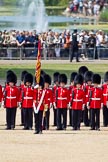 The Colonel's Review 2011: After completing the March Past, the Ensign, Lieutenant Tom Ogilvy, has moved to the front of No. 1 Guard, the Escort to the Colour..
Horse Guards Parade, Westminster,
London SW1,

United Kingdom,
on 04 June 2011 at 11:50, image #224