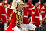 The Colonel's Review 2011: Close-up of the Field Officer of the Escort, Major N P G van Cutsem, The Life Guards..
Horse Guards Parade, Westminster,
London SW1,

United Kingdom,
on 04 June 2011 at 11:53, image #238