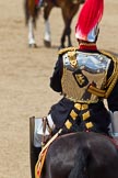 The Colonel's Review 2011: Marching Off - here Major Twumasi-Ankrah, Blues and Royals who rides on the Princess Royal's horse, with the reflection of Horse Guards Building in the shield..
Horse Guards Parade, Westminster,
London SW1,

United Kingdom,
on 04 June 2011 at 12:07, image #291