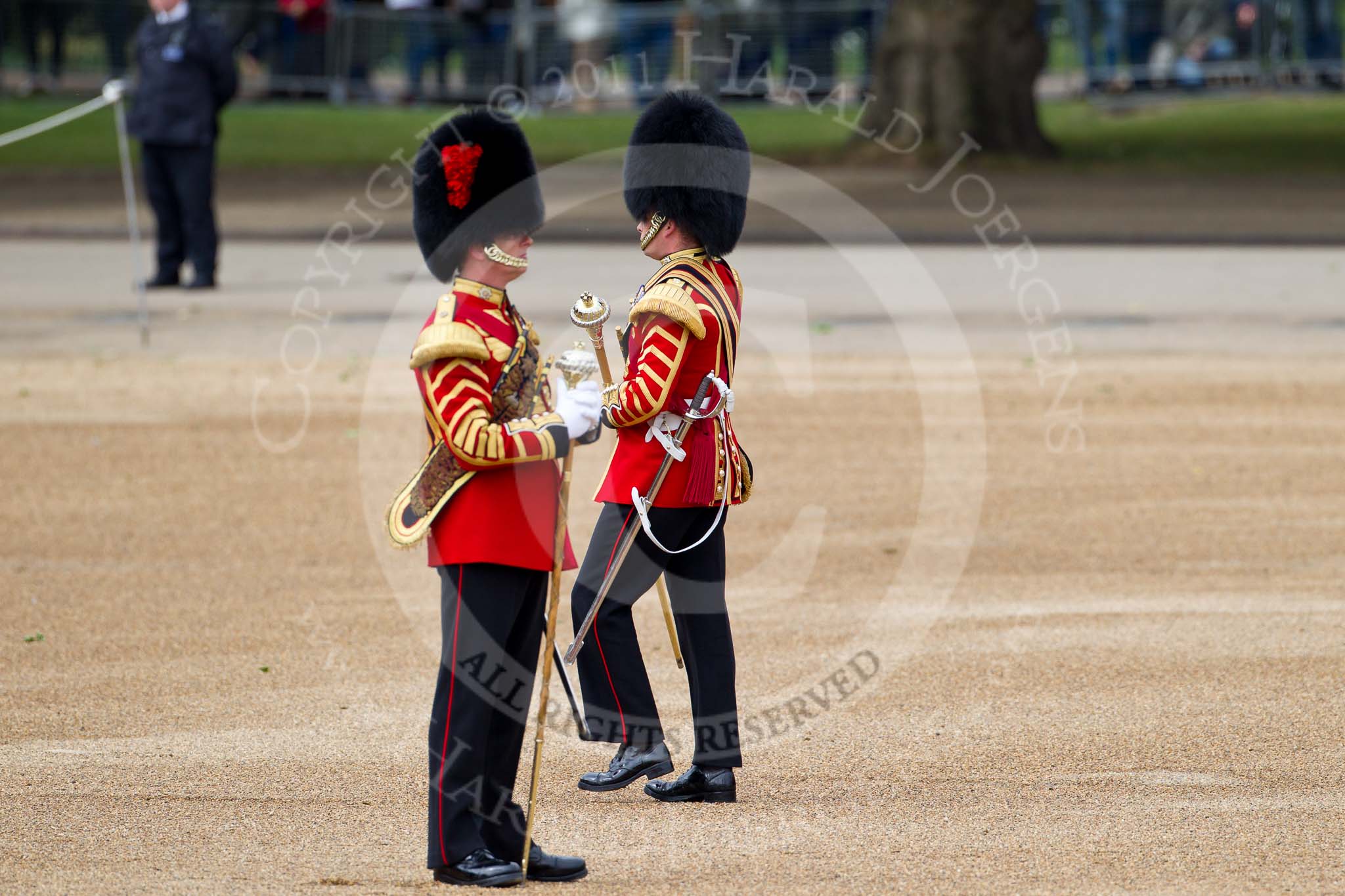 The Major General's Review 2011: Two Drum Majors of the Coldstream Guards. In front Drum Major Tony Taylor, No. 7 Company Coldstream Guards, behind him Drum Major Scott Fitzgerald, Coldstream Guards..
Horse Guards Parade, Westminster,
London SW1,
Greater London,
United Kingdom,
on 28 May 2011 at 10:26, image #38