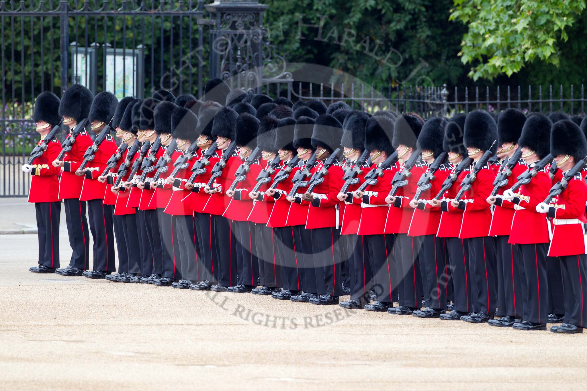 The Major General's Review 2011: No. 2 (?) Guard, B Company Scots Guards, taking up their position on Horse Guards Parade. Behind the gates is St. James's Park..
Horse Guards Parade, Westminster,
London SW1,
Greater London,
United Kingdom,
on 28 May 2011 at 10:28, image #44