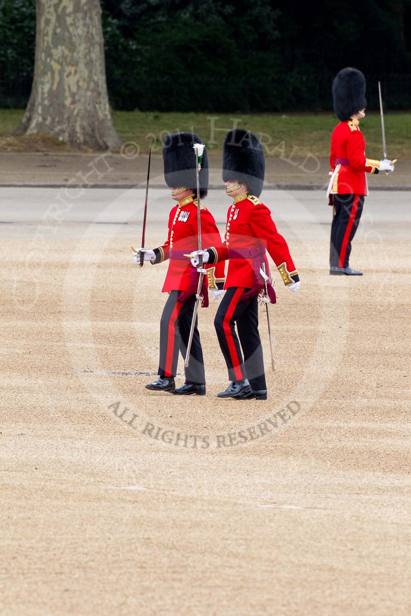 The Major General's Review 2011: The Subalterns, having marched their guards from Wellington Barracks to Horse Guards Parade, now march towards Horse Guards Arch. Here a Lieutenant from No. 7 Company, Coldstream Guards, in front, behind a Captain from 1st Battalion Welsh Guards..
Horse Guards Parade, Westminster,
London SW1,
Greater London,
United Kingdom,
on 28 May 2011 at 10:29, image #48