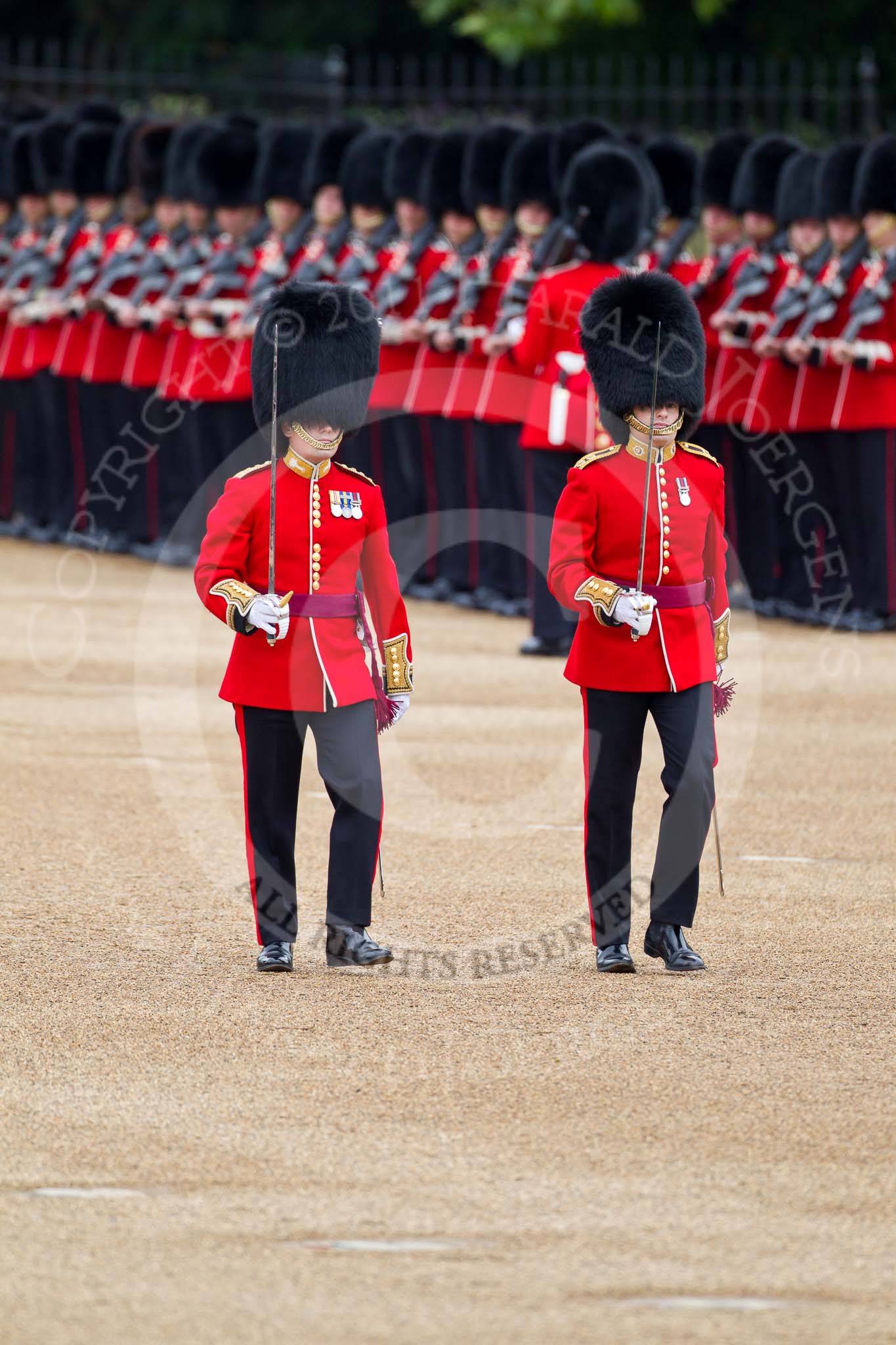 The Major General's Review 2011: The Subalterns, having marched their guards from Wellington Barracks to Horse Guards Parade, now march towards Horse Guards Arch. Here a Lieutenant from No. 7 Company, Coldstream Guards, in front, behind a Captain from 1st Battalion Welsh Guards..
Horse Guards Parade, Westminster,
London SW1,
Greater London,
United Kingdom,
on 28 May 2011 at 10:30, image #49